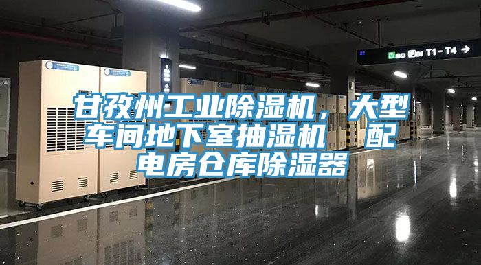 甘孜州工業(yè)除濕機，大型車間地下室抽濕機  配電房倉庫除濕器