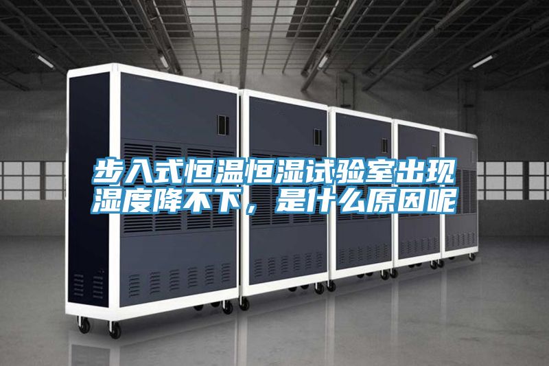 步入式恒溫恒濕試驗(yàn)室出現(xiàn)濕度降不下，是什么原因呢