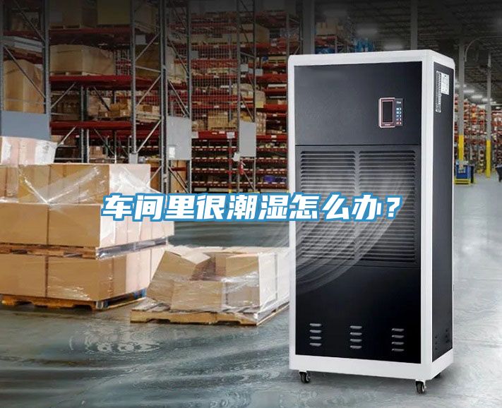 車間里很潮濕怎么辦？