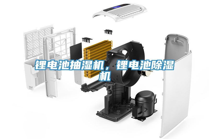 鋰電池抽濕機(jī)，鋰電池除濕機(jī)