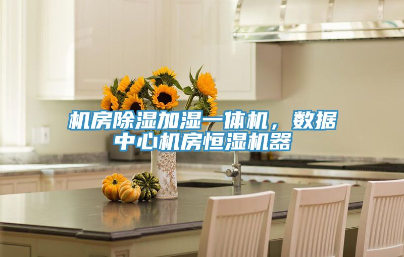 機(jī)房除濕加濕一體機(jī)，數(shù)據(jù)中心機(jī)房恒濕機(jī)器