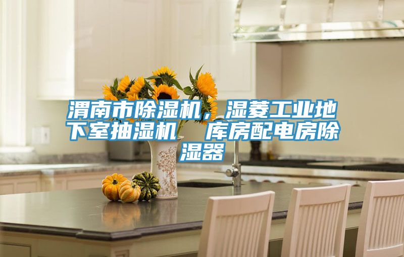 渭南市除濕機(jī)，濕菱工業(yè)地下室抽濕機(jī)  庫(kù)房配電房除濕器