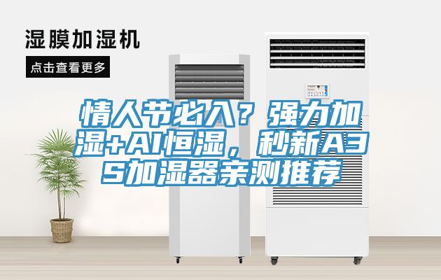 情人節(jié)必入？強(qiáng)力加濕+AI恒濕，秒新A3S加濕器親測推薦