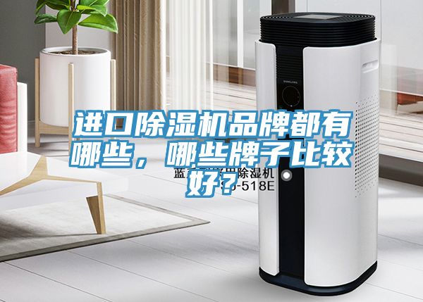 進口除濕機品牌都有哪些，哪些牌子比較好？