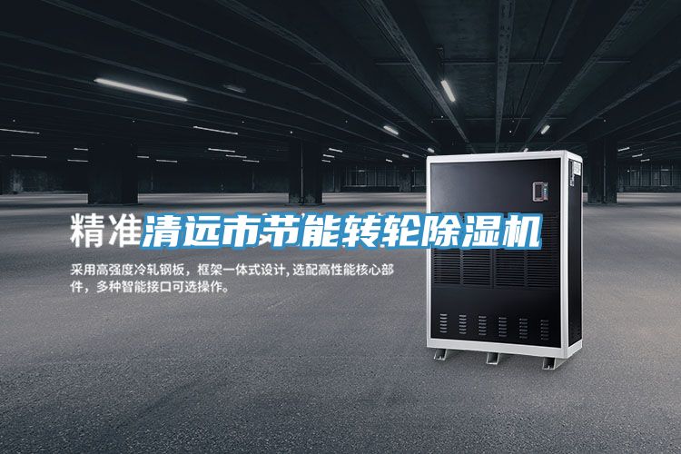 清遠(yuǎn)市節(jié)能轉(zhuǎn)輪除濕機