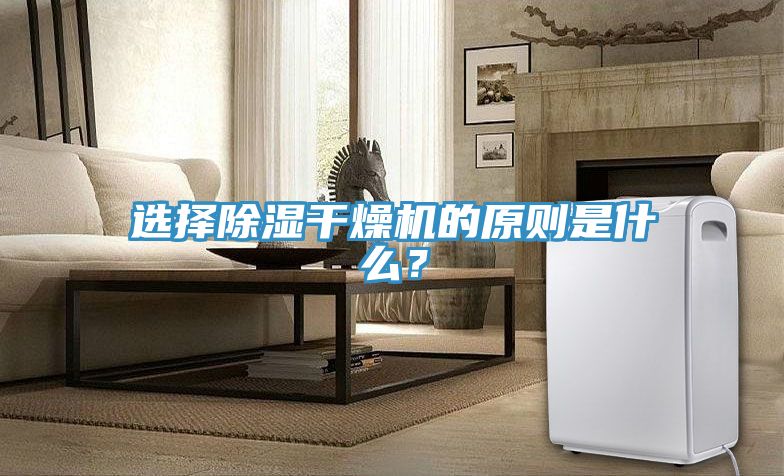選擇除濕干燥機的原則是什么？