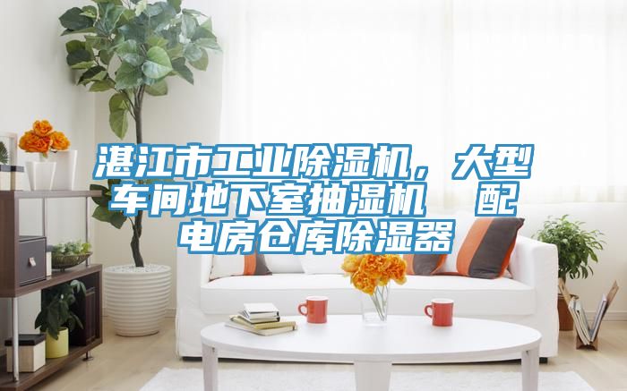 湛江市工業(yè)除濕機(jī)，大型車間地下室抽濕機(jī)  配電房倉(cāng)庫(kù)除濕器