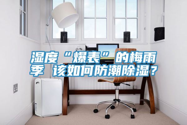 濕度“爆表”的梅雨季 該如何防潮除濕？