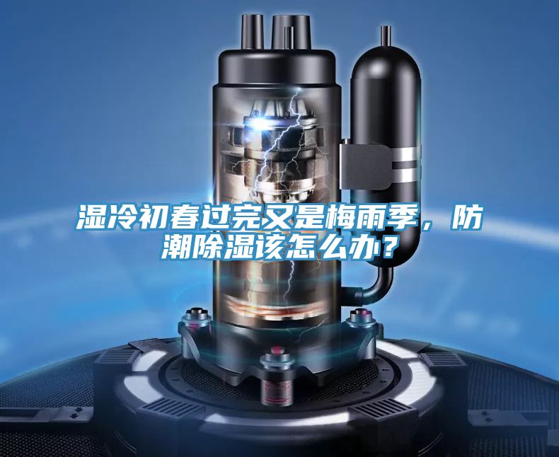 濕冷初春過(guò)完又是梅雨季，防潮除濕該怎么辦？