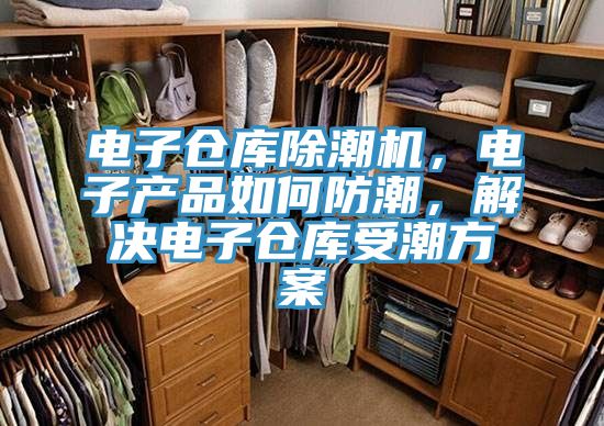 電子倉庫除潮機，電子產(chǎn)品如何防潮，解決電子倉庫受潮方案