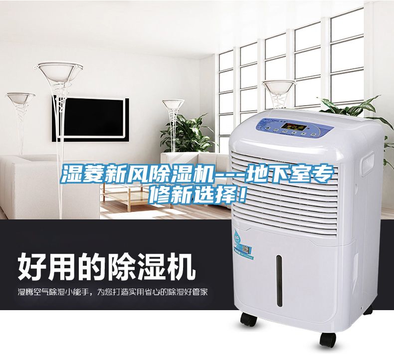 濕菱新風除濕機---地下室專修新選擇！