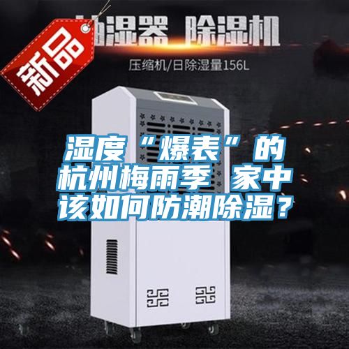 濕度“爆表”的杭州梅雨季 家中該如何防潮除濕？