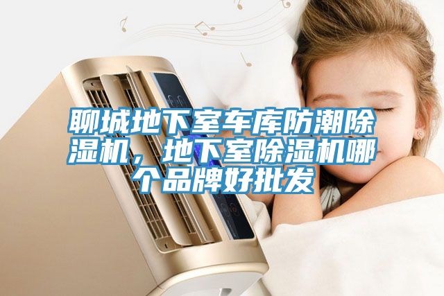 聊城地下室車庫防潮除濕機，地下室除濕機哪個品牌好批發(fā)