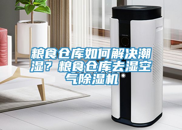 糧食倉庫如何解決潮濕？糧食倉庫去濕空氣除濕機(jī)