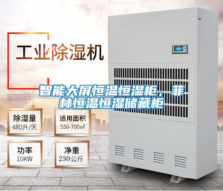 智能大屏恒溫恒濕柜，菲林恒溫恒濕儲藏柜