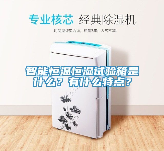 智能恒溫恒濕試驗(yàn)箱是什么？有什么特點(diǎn)？