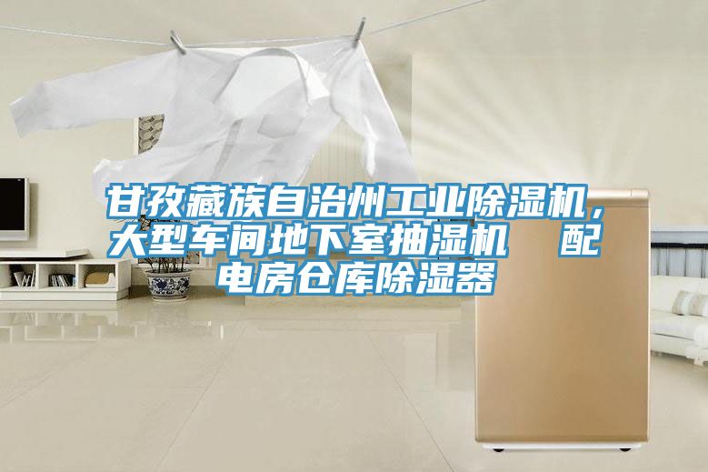 甘孜藏族自治州工業(yè)除濕機，大型車間地下室抽濕機  配電房倉庫除濕器