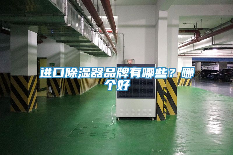 進(jìn)口除濕器品牌有哪些？哪個(gè)好