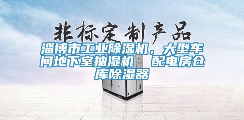 淄博市工業(yè)除濕機(jī)，大型車間地下室抽濕機(jī)  配電房倉庫除濕器