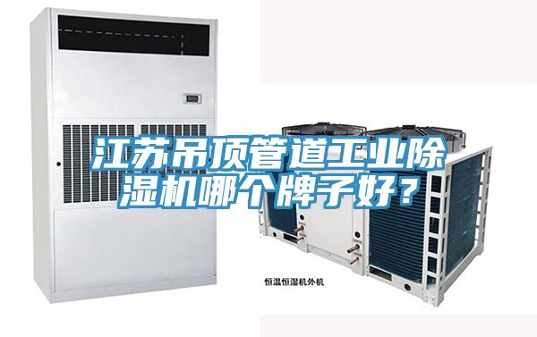 江蘇吊頂管道工業(yè)除濕機(jī)哪個(gè)牌子好？