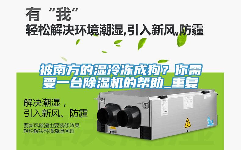 被南方的濕冷凍成狗？你需要一臺除濕機(jī)的幫助_重復(fù)