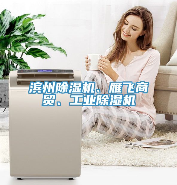 濱州除濕機(jī)、雁飛商貿(mào)、工業(yè)除濕機(jī)