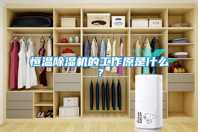 恒溫除濕機(jī)的工作原是什么？