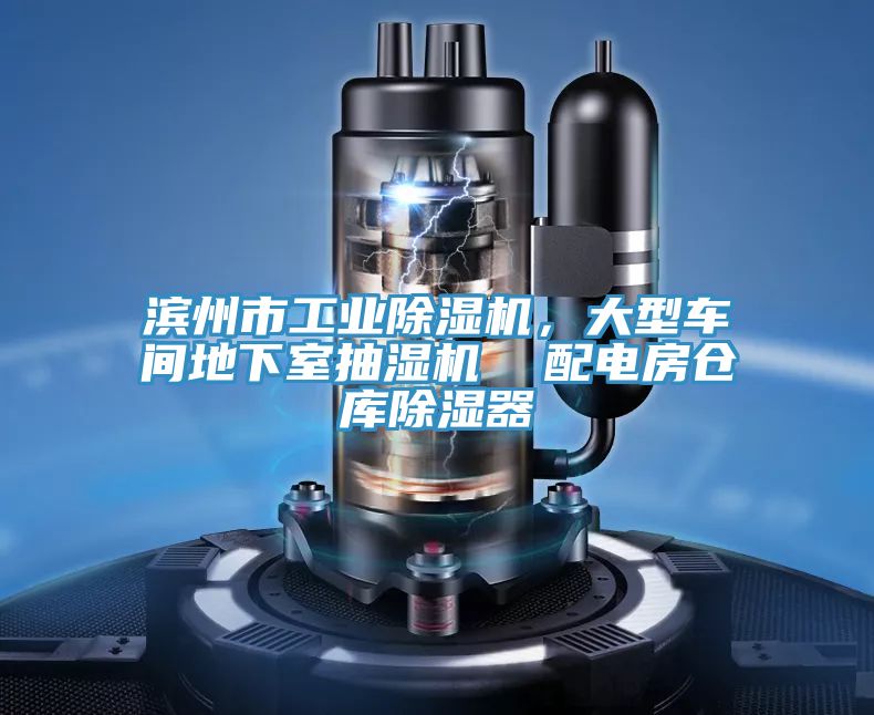 濱州市工業(yè)除濕機，大型車間地下室抽濕機  配電房倉庫除濕器