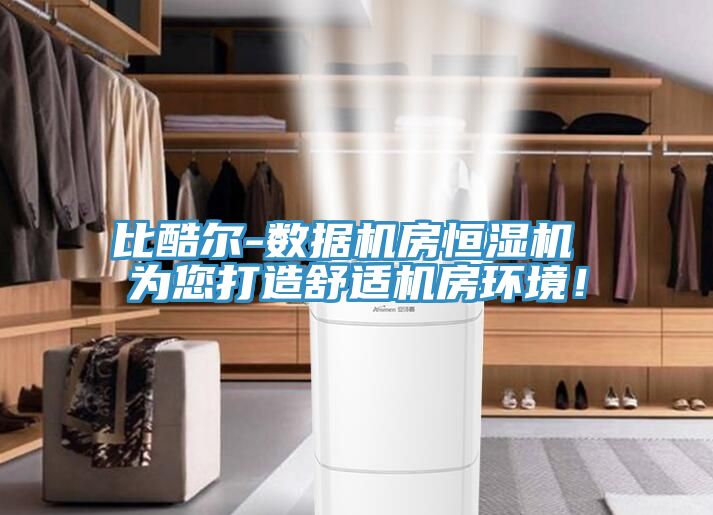 比酷爾-數(shù)據(jù)機(jī)房恒濕機(jī) 為您打造舒適機(jī)房環(huán)境！