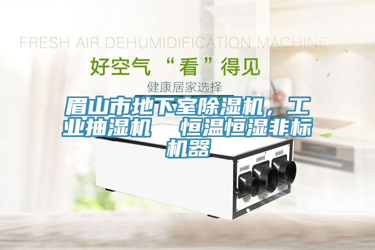 眉山市地下室除濕機(jī)，工業(yè)抽濕機(jī)  恒溫恒濕非標(biāo)機(jī)器
