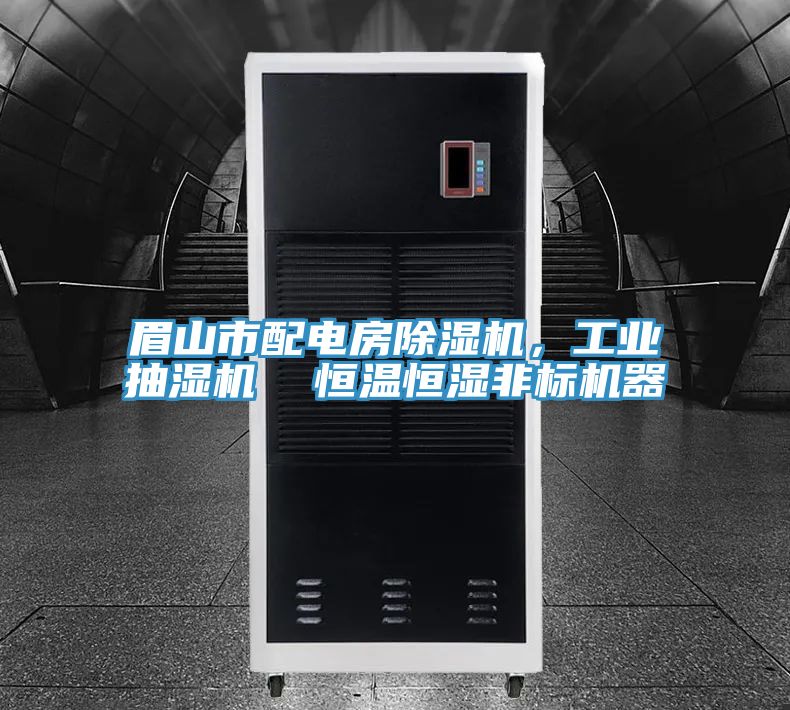 眉山市配電房除濕機(jī)，工業(yè)抽濕機(jī)  恒溫恒濕非標(biāo)機(jī)器