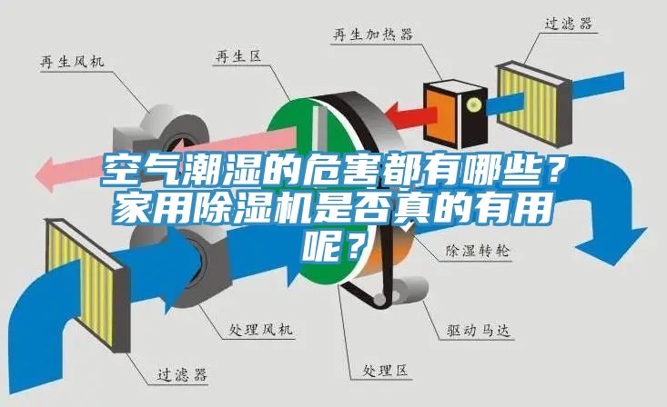空氣潮濕的危害都有哪些？家用除濕機是否真的有用呢？