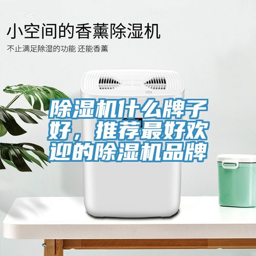 除濕機(jī)什么牌子好，推薦最好歡迎的除濕機(jī)品牌