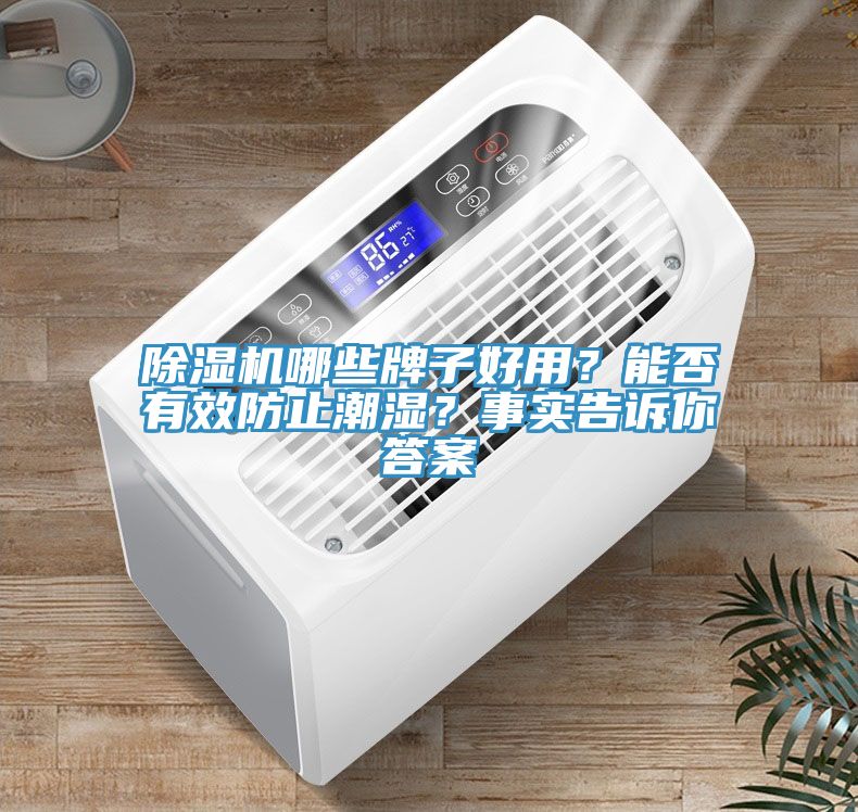 除濕機(jī)哪些牌子好用？能否有效防止潮濕？事實(shí)告訴你答案