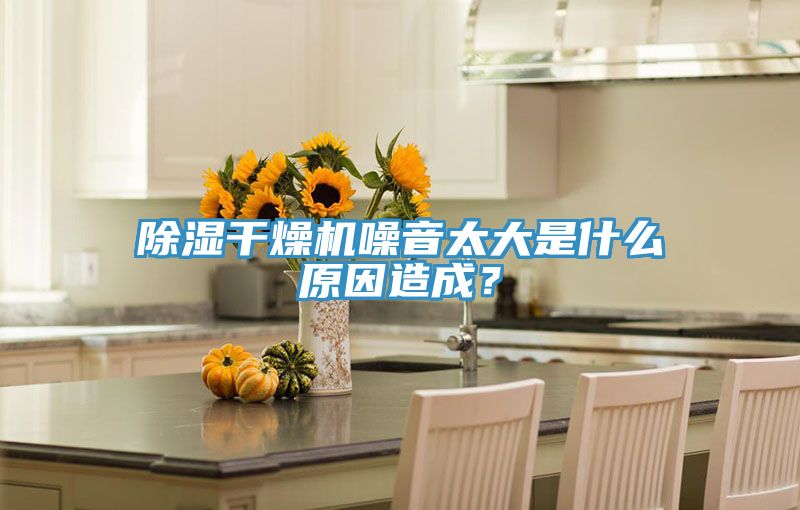 除濕干燥機噪音太大是什么原因造成？
