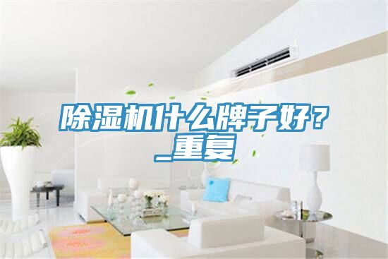 除濕機(jī)什么牌子好？_重復(fù)