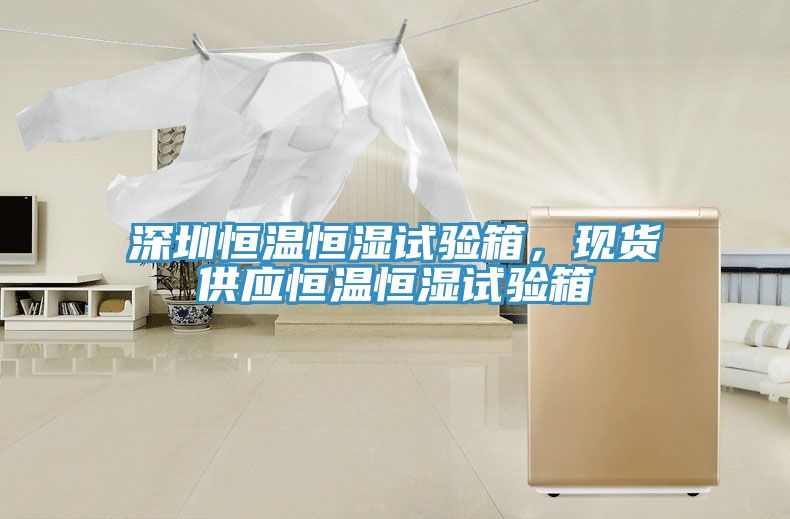 深圳恒溫恒濕試驗(yàn)箱，現(xiàn)貨供應(yīng)恒溫恒濕試驗(yàn)箱