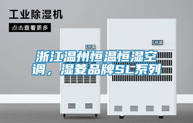 浙江溫州恒溫恒濕空調(diào)，濕菱品牌SL系列