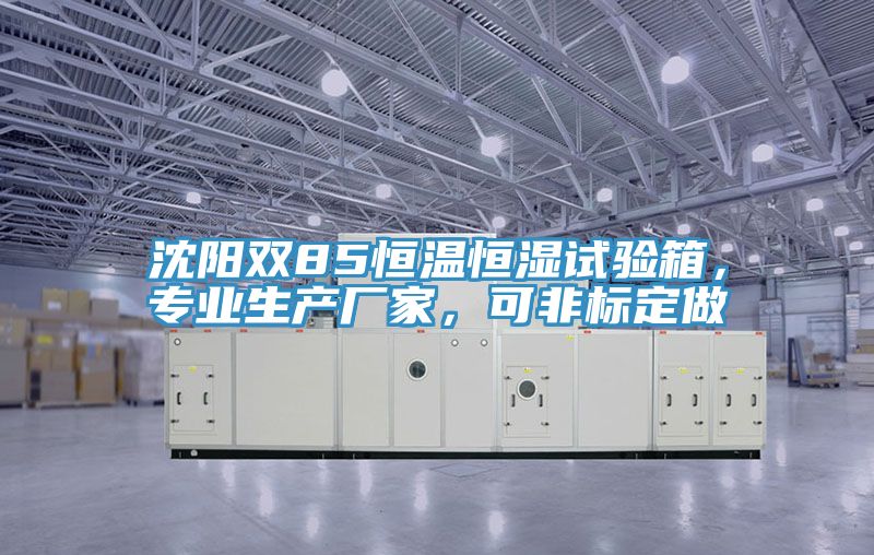沈陽雙85恒溫恒濕試驗箱，專業(yè)生產(chǎn)廠家，可非標定做