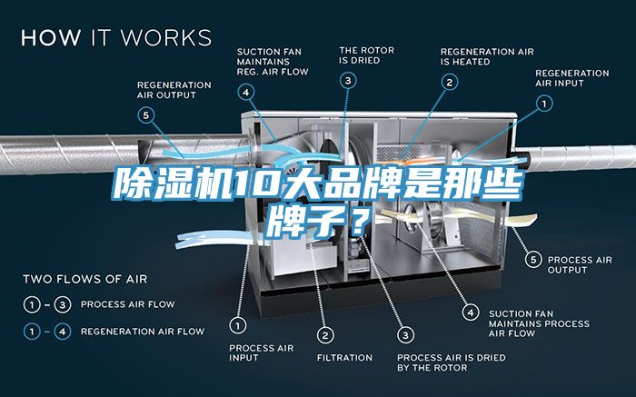 除濕機10大品牌是那些牌子？