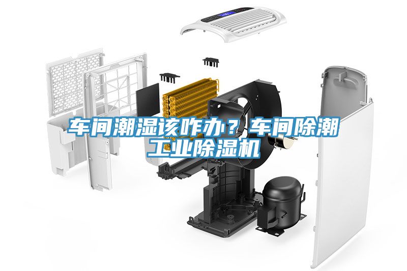 車間潮濕該咋辦？車間除潮工業(yè)除濕機