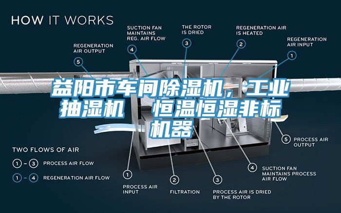 益陽市車間除濕機(jī)，工業(yè)抽濕機(jī)  恒溫恒濕非標(biāo)機(jī)器
