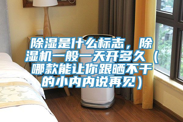 除濕是什么標(biāo)志，除濕機(jī)一般一天開多久（哪款能讓你跟曬不干的小內(nèi)內(nèi)說再見）