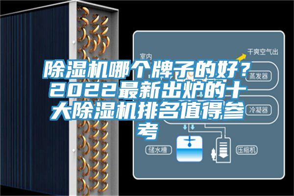 除濕機(jī)哪個(gè)牌子的好？2022最新出爐的十大除濕機(jī)排名值得參考