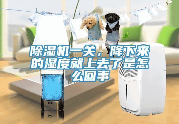 除濕機(jī)一關(guān)，降下來的濕度就上去了是怎么回事
