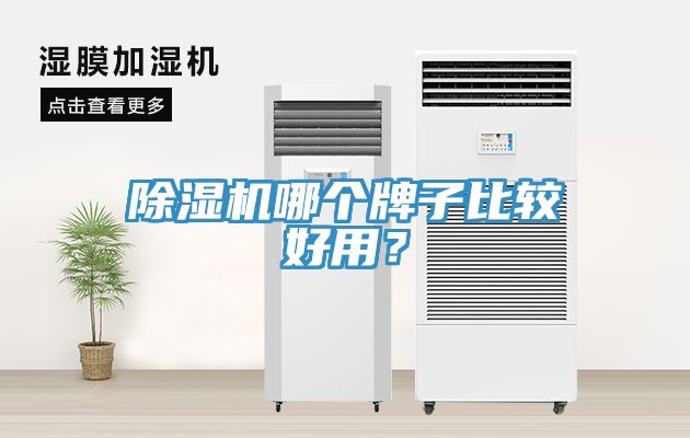 除濕機(jī)哪個(gè)牌子比較好用？