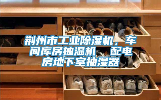 荊州市工業(yè)除濕機，車間庫房抽濕機  配電房地下室抽濕器
