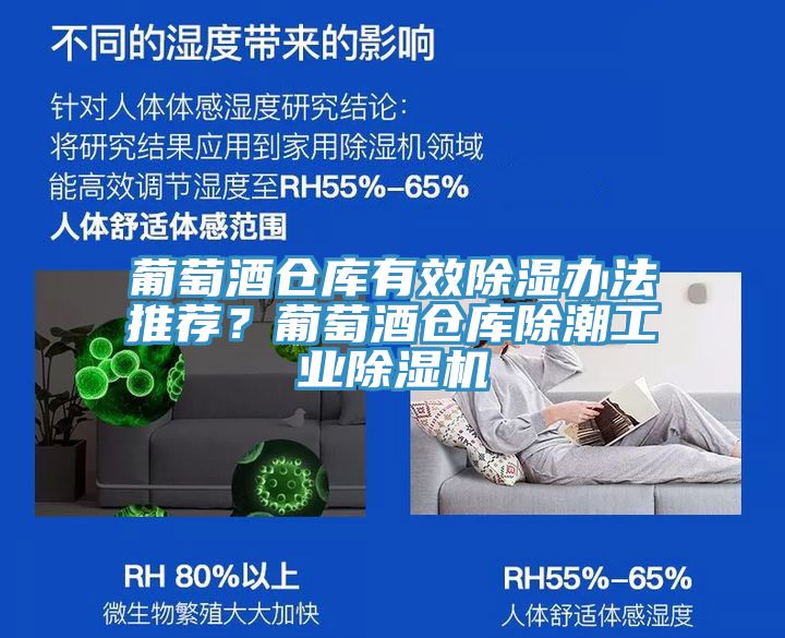 葡萄酒倉(cāng)庫(kù)有效除濕辦法推薦？葡萄酒倉(cāng)庫(kù)除潮工業(yè)除濕機(jī)