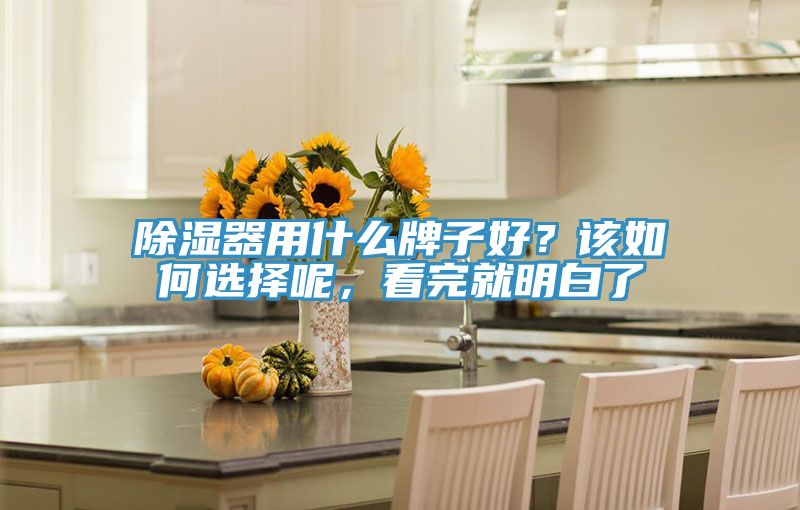 除濕器用什么牌子好？該如何選擇呢，看完就明白了