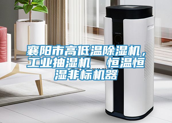 襄陽市高低溫除濕機，工業(yè)抽濕機  恒溫恒濕非標(biāo)機器